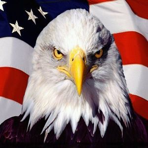 Meet your Posher, Penny